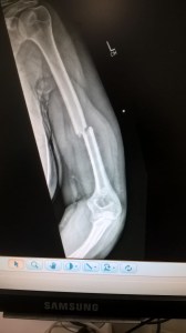 WP_20170704_01_42_19_Pro